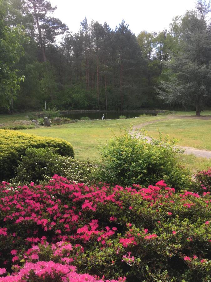 Haus Am Parc Hotel Meppen Kültér fotó